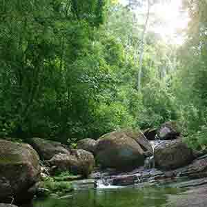 sinharaja rainforest - unesco world heritage sites sri lanka