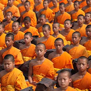 Thai young theravada monks