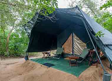 Wilpattu camping