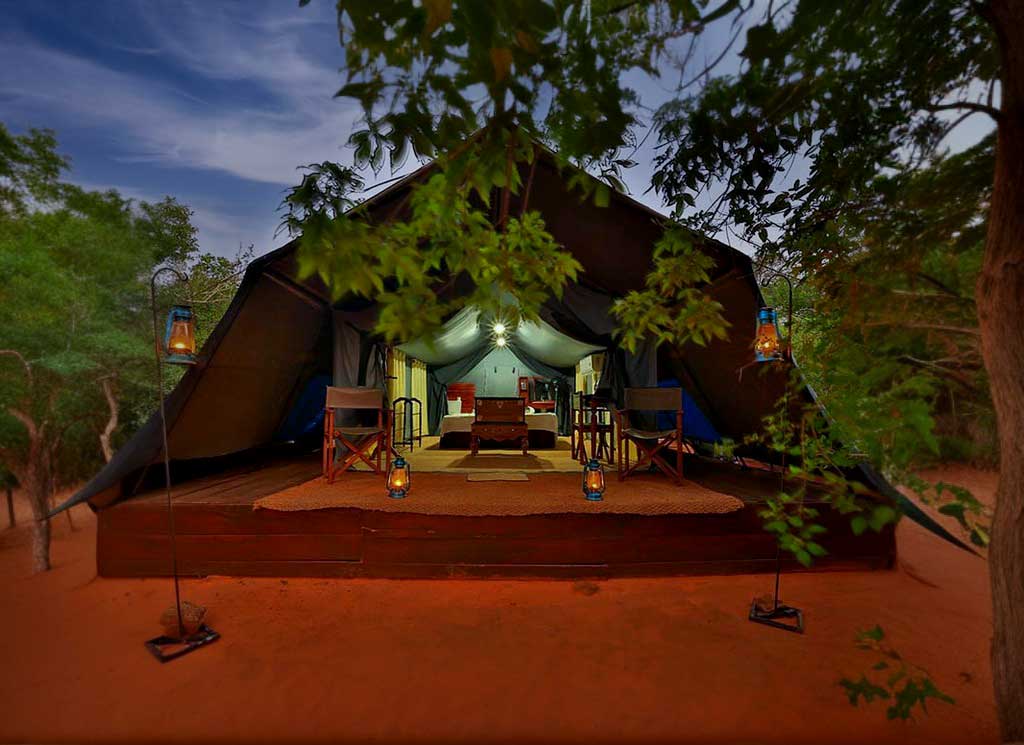 Yala Safari Camping