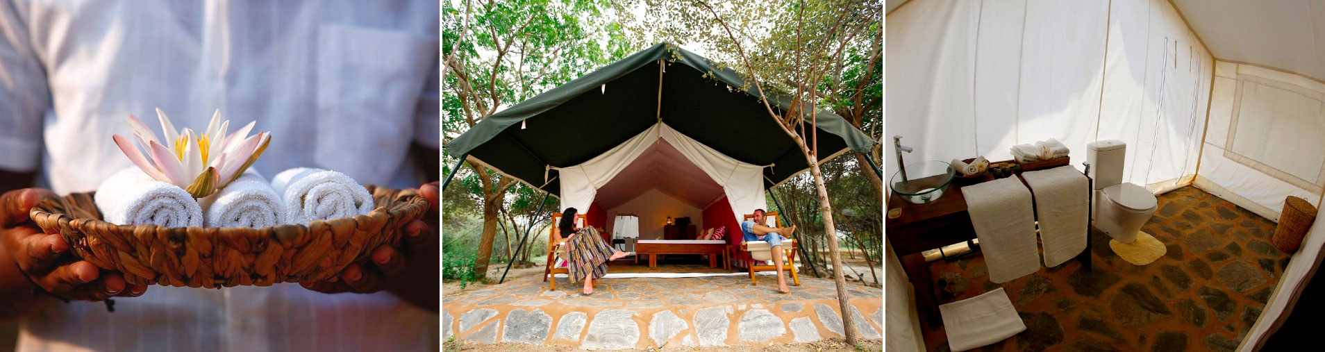 Yala Safai Camping