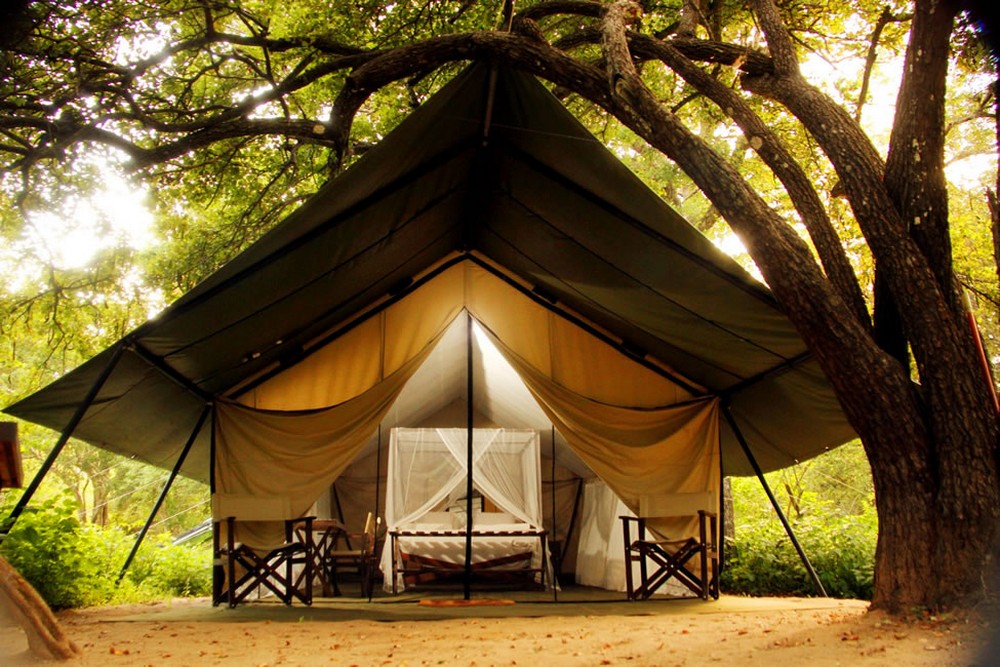 Yala safari camping