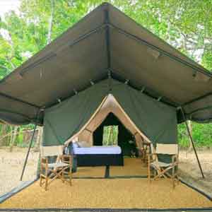 wilpattu camp