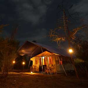 wilpattu safari camp at night