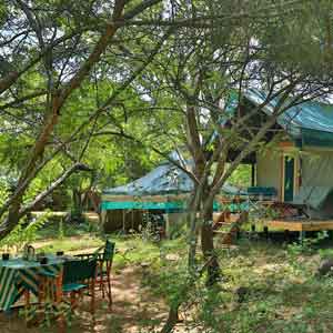 wilpattu tented camping