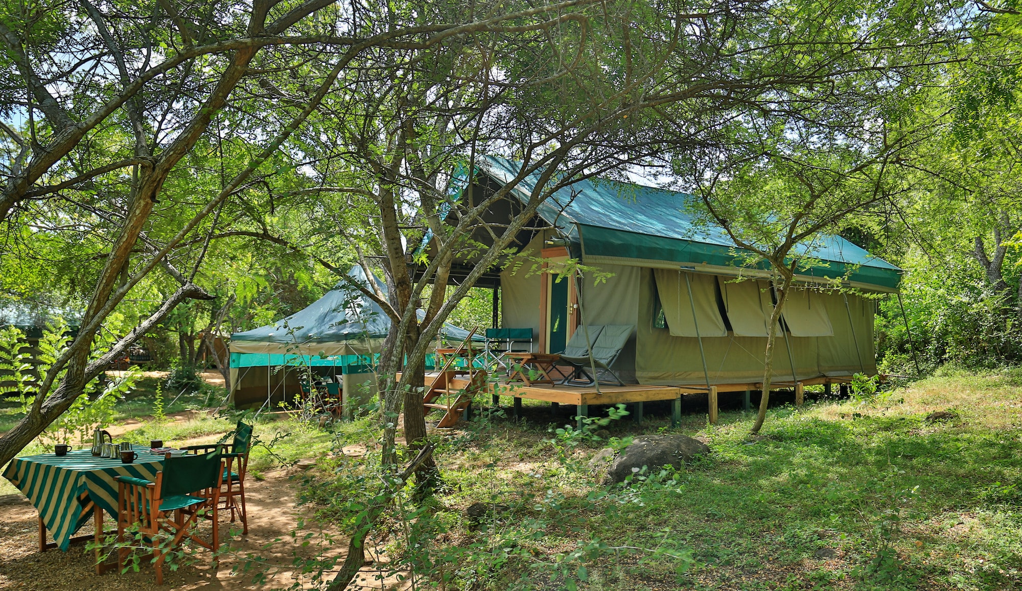 wilpattu national park safari camp