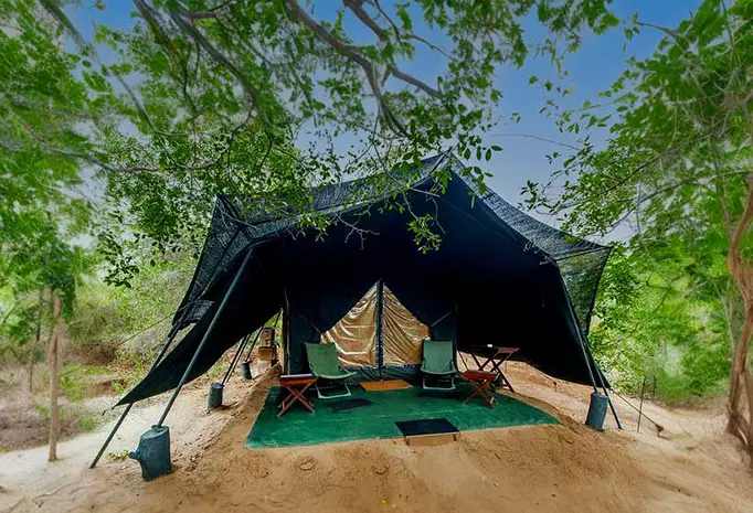 Camping in Wilpattu