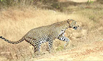 national parks in Sri Lanka