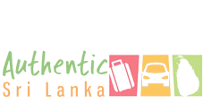 Go4Safari logo
